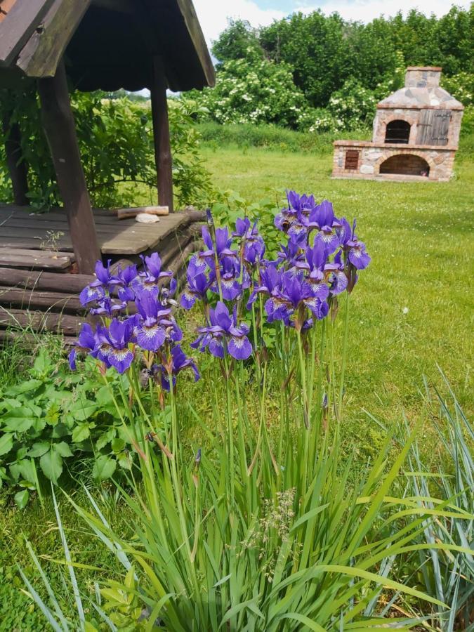 Bed & Breakfast Swojski Gosciniec *